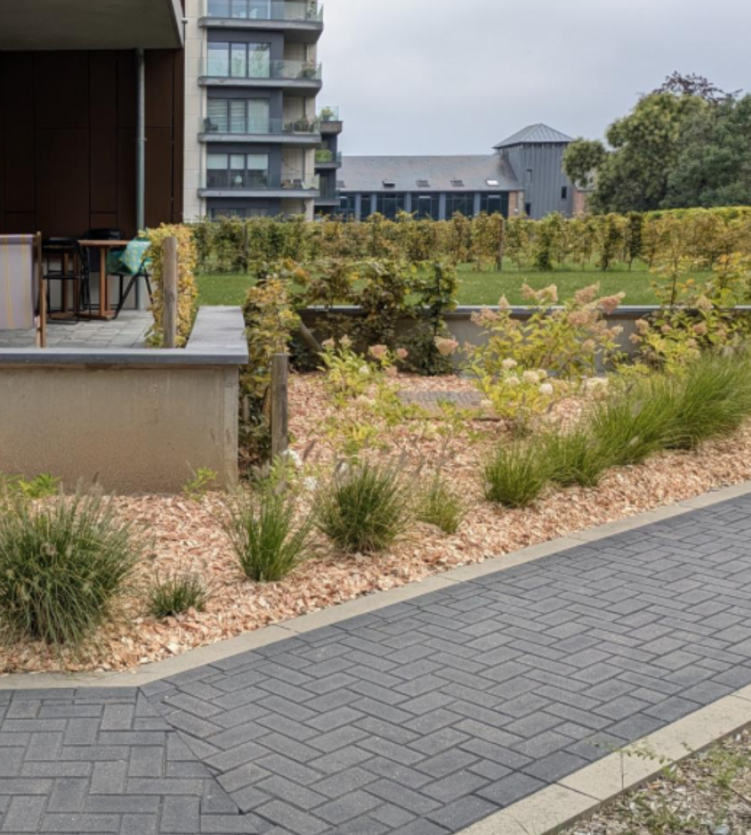 aménagement des extérieurs d'un lotissement d'appartements: plantation de haie, création de parterre fleuris. Entretien de l'aménagement de jardins.